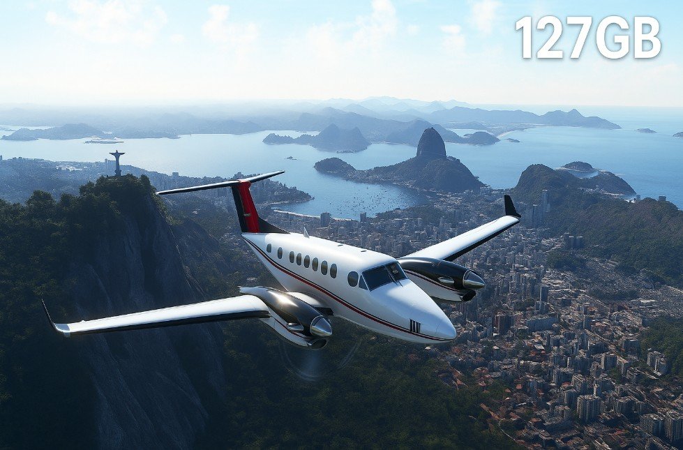 Microsoft Flight Simulator
