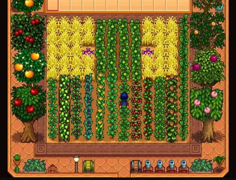 What Can You Grow?